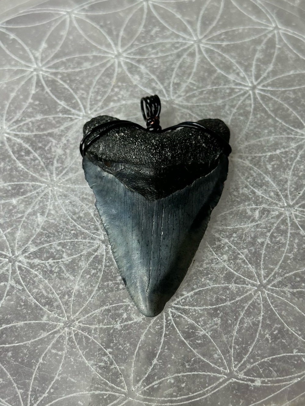 Black Mageladon Tooth Pendant